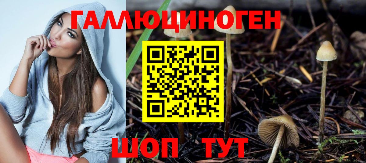 Галлюциногенные грибы мухоморы  Псилоцибиновые грибы Magic Shrooms  Домодедово  купить   Вход с VPN 